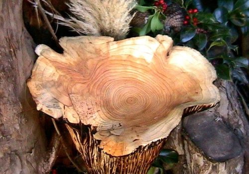 Chanterelle-Mushroom-Ornaments-19