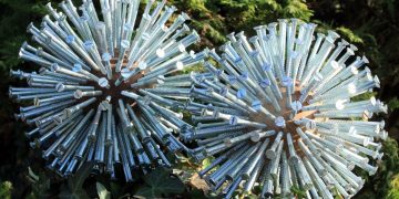   Dandelion Alliums Heads Gallery