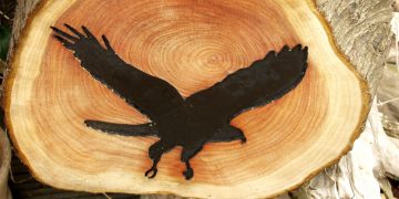 Log Picture Art Gallery