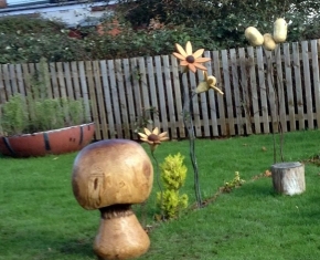 Gosport School. Button Mushroom Oak Feature