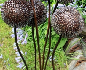 ALLIUM3-1-scaled