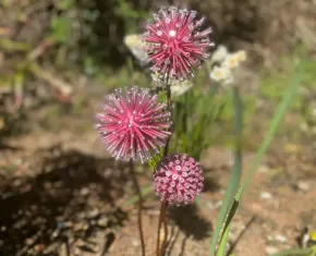 il_794xN.6776535872_12gg