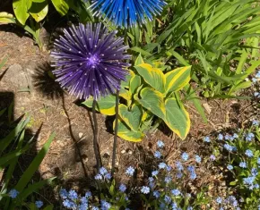 il_794xN.6798473672_qu03