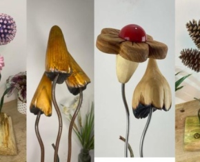 headder-image-home-page