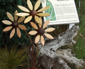 Aldingbourne Trust Woodland Pond Features