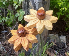 277419925_498407758534479_6240059851484036169_n 277419925_498407758534479_6240059851484036169_n