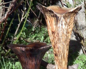 Chanterelle-Mushroom-Ornaments-8