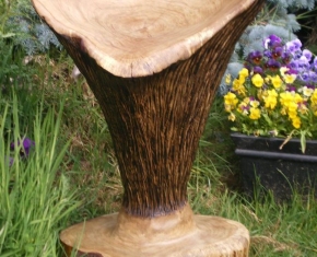IMGP0992