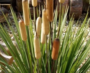 bulrushes-ornaments2