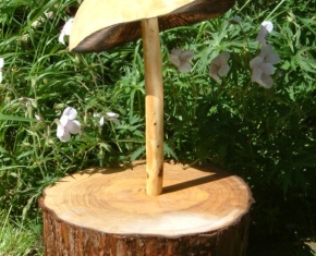 ffffff-022 ffffff-022