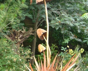 newers-0441
